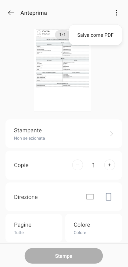 Schermata Stampa dell'app CasaBudget